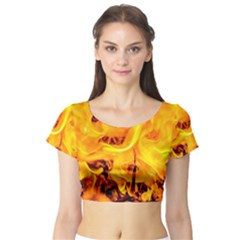 Fire And Flames Short Sleeve Crop Top by FunnyCow