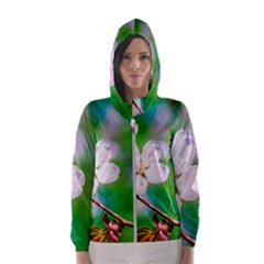 Sakura Flowers On Green Hooded Windbreaker (women) by FunnyCow