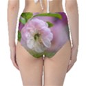 Single Almond Flower Classic High-Waist Bikini Bottoms View2