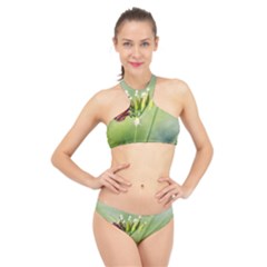 One More Bottle Does Not Hurt High Neck Bikini Set by FunnyCow