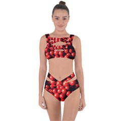 Pile Of Red Tomatoes Bandaged Up Bikini Set  by FunnyCow