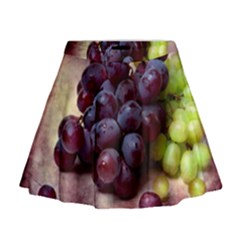 Red And Green Grapes Mini Flare Skirt by FunnyCow