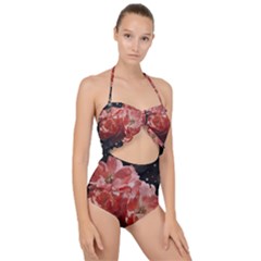 Rose 572757 1920 Scallop Top Cut Out Swimsuit
