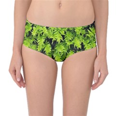 Green Hedge Texture Yew Plant Bush Leaf Mid-waist Bikini Bottoms by Sapixe