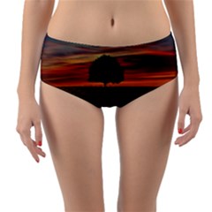 Natural Tree Reversible Mid-waist Bikini Bottoms by Alisyart