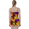 Fancy Tulip Flowers In Spring Tie Front Two Piece Tankini View2
