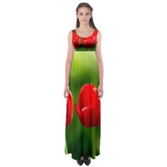 Three Red Tulips, Green Background Empire Waist Maxi Dress by FunnyCow