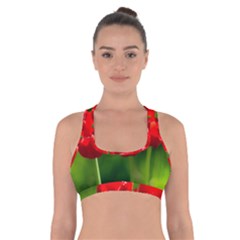 Three Red Tulips, Green Background Cross Back Sports Bra by FunnyCow