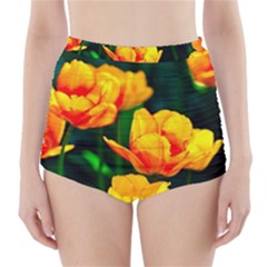 Yellow Orange Tulip Flowers High-waisted Bikini Bottoms by FunnyCow
