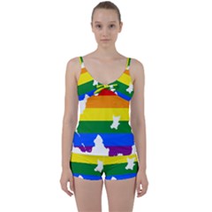 Lgbt Flag Map Of Northern Ireland Tie Front Two Piece Tankini by abbeyz71