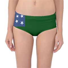 Flag Of The Green Mountain Boys Mid-waist Bikini Bottoms by abbeyz71