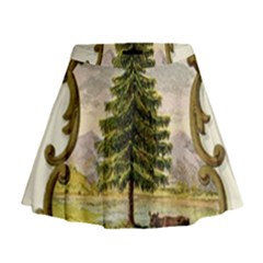 Coat Of Arms Of Vermont Mini Flare Skirt by abbeyz71