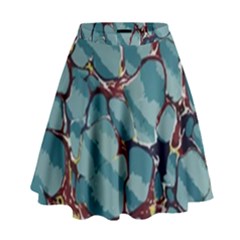 Marble Rock Comb Antique High Waist Skirt by Simbadda