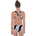 Stella animal print Criss Cross Bikini Set View2