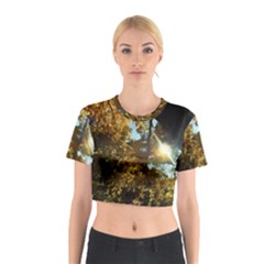 Fall Yellow Swirly Sunlight Cotton Crop Top by bloomingvinedesign