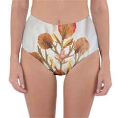 Holy Land Flowers 14 Reversible High-waist Bikini Bottoms by DeneWestUK
