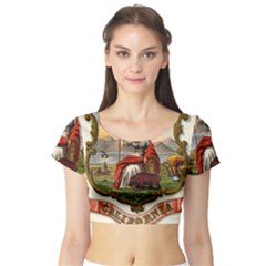 Historical Coat Of Arms Of California Short Sleeve Crop Top by abbeyz71