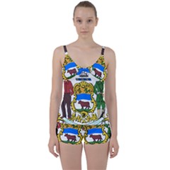 Delaware Coat Of Arms Tie Front Two Piece Tankini by abbeyz71