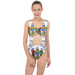 Great Seal Of Delaware Center Cut Out Swimsuit by abbeyz71