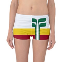 Flag Of Franco-manitobans Reversible Boyleg Bikini Bottoms by abbeyz71