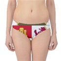 Coat of arms of Castile and León Hipster Bikini Bottoms View1
