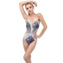 Beautiful Fairy With Swan Plunging Cut Out Swimsuit View1