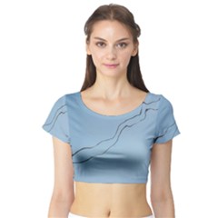 Airplane Airplanes Blue Sky Short Sleeve Crop Top by Mariart