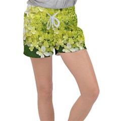 Elegant Chartreuse Green Limelight Hydrangea Macro Women s Velour Lounge Shorts by myrubiogarden