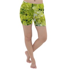 Elegant Chartreuse Green Limelight Hydrangea Macro Lightweight Velour Yoga Shorts by myrubiogarden