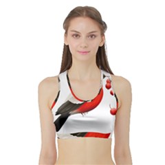 Red Robin Berry Red Berries Bird Sports Bra With Border