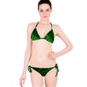 Fractal Rendering Background Green Classic Bikini Set View3