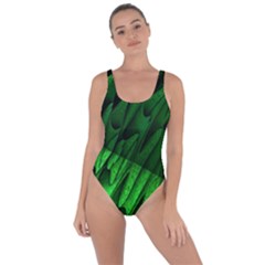 Fractal Rendering Background Green Bring Sexy Back Swimsuit by Pakrebo