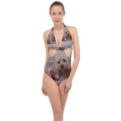Cockapoo In Dog s Bed Halter Front Plunge Swimsuit by pauchesstore