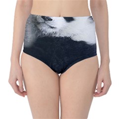 Panda Bear Sleeping Classic High-waist Bikini Bottoms by Sudhe