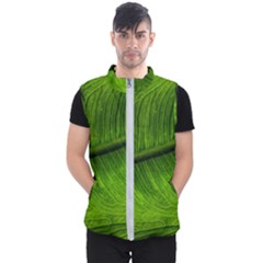 Green Leaf Plant Freshness Color Men s Puffer Vest by Pakrebo