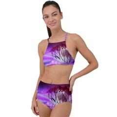 Clematis Structure Close Up Blossom High Waist Tankini Set by Pakrebo