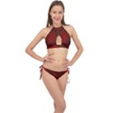 Awesome Chinese Dragon, Red Colors Cross Front Halter Bikini Set View1