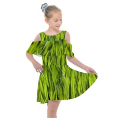 Agricultural Field   Kids  Shoulder Cutout Chiffon Dress by rsooll