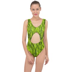 Agricultural Field   Center Cut Out Swimsuit by rsooll