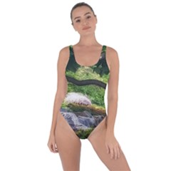 Chicago Garden Of The Phoenix Bring Sexy Back Swimsuit by Riverwoman
