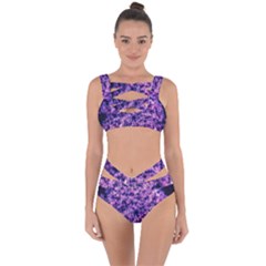Queen Annes Lace In Purple And White Bandaged Up Bikini Set  by okhismakingart
