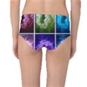 Closing Queen Annes Lace Collage (Horizontal) Mid-Waist Bikini Bottoms View2