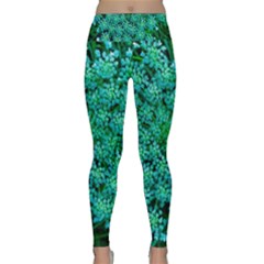 Turquoise Queen Anne s Lace Lightweight Velour Classic Yoga Leggings by okhismakingart