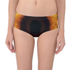 Single Sunflower Mid-waist Bikini Bottoms by okhismakingart