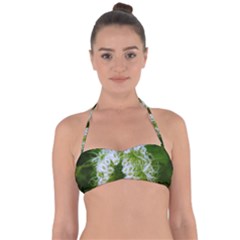 Green Closing Queen Annes Lace Halter Bandeau Bikini Top