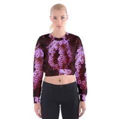 Purple Closing Queen Annes Lace Cropped Sweatshirt by okhismakingart