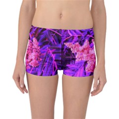 Pink And Blue Sideways Sumac Reversible Boyleg Bikini Bottoms by okhismakingart