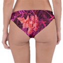 Pink Sideways Sumac Reversible Hipster Bikini Bottoms View2