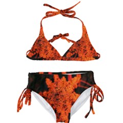 Orange Sumac Bloom Kids  Classic Bikini Set by okhismakingart