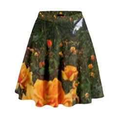 Orange Rose Field High Waist Skirt by okhismakingart